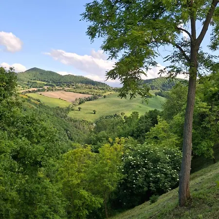 Agriturismo La Valle Del Vento Urbino Урбино